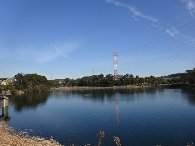 東海市　リビオ加木屋公園　販売開始！